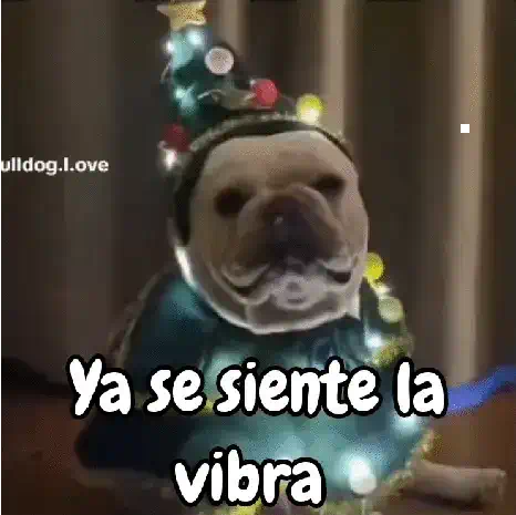 Navidad de perritos 🎅🐕 preview