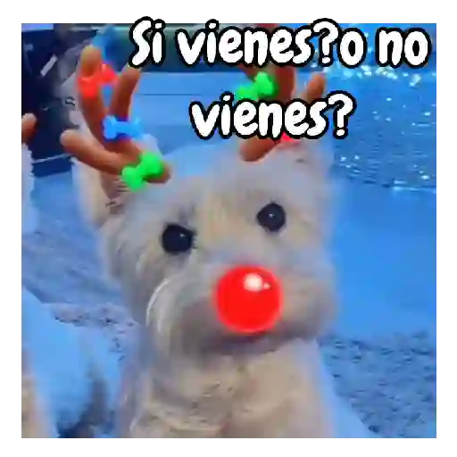 Navidad de perritos 🎅🐕 preview