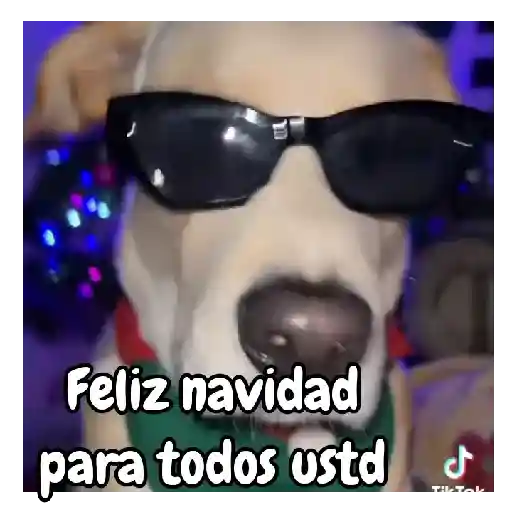 Navidad de perritos 🎅🐕 preview