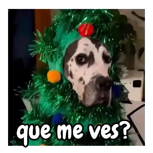 Navidad de perritos 🎅🐕 preview