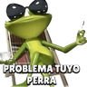 Problema 😵‍💫 Tuyo Papi 🐸