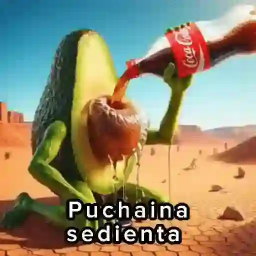 🫦 Puchaina 🥑