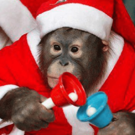 🐒🎄 Changos Monos Navidad 🎄🐒 preview