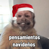 🐒🎄 Changos Monos Navidad 🎄🐒
