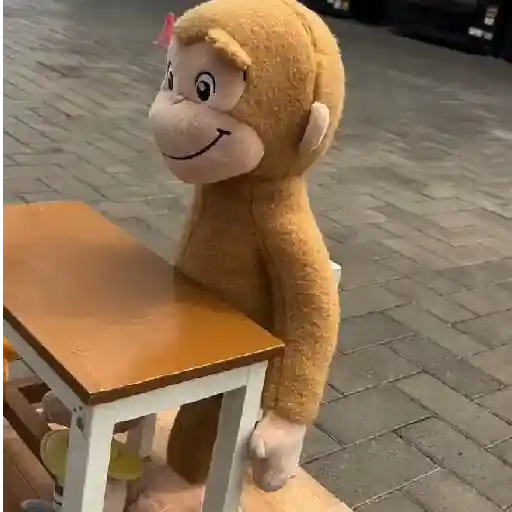 monitos bonitos 
