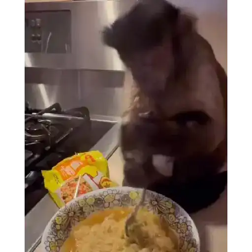 monitos bonitos 
