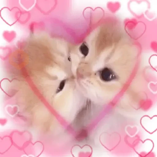 Love | Amor sticker 12