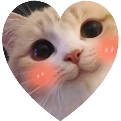 GATITUS