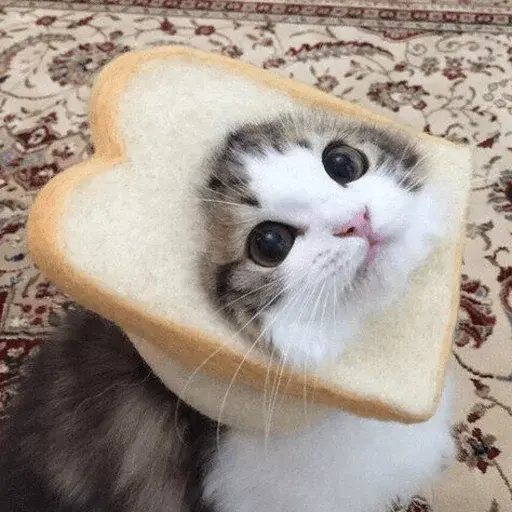 GATITUS