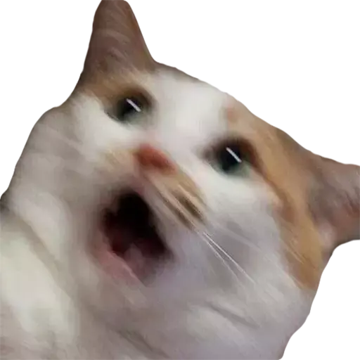 GATITUS