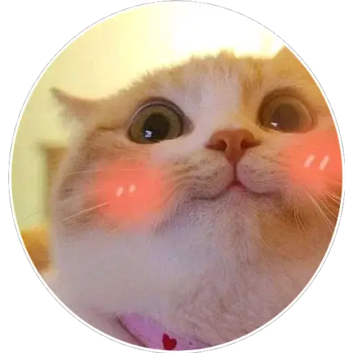 GATITUS