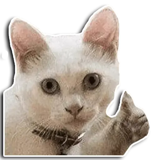 GATITUS