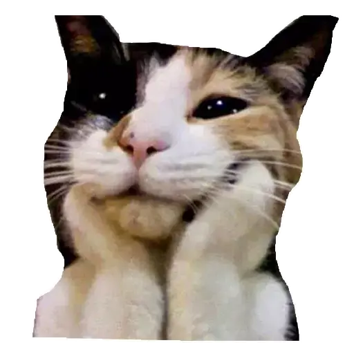GATITUS preview