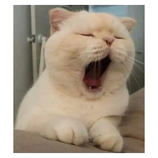 GATITUS