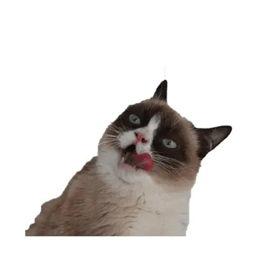 GATITUS