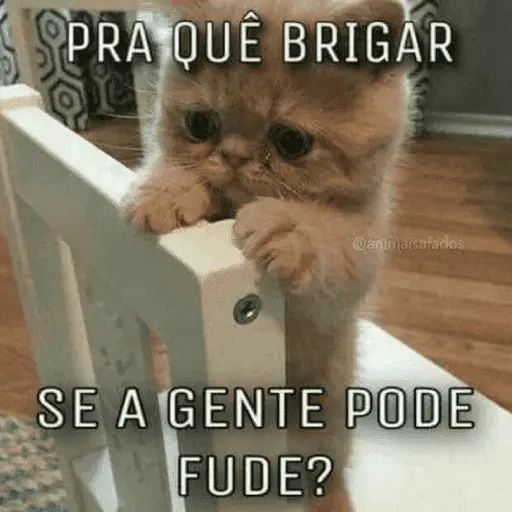 FALANDO SAPECAGENS 😜