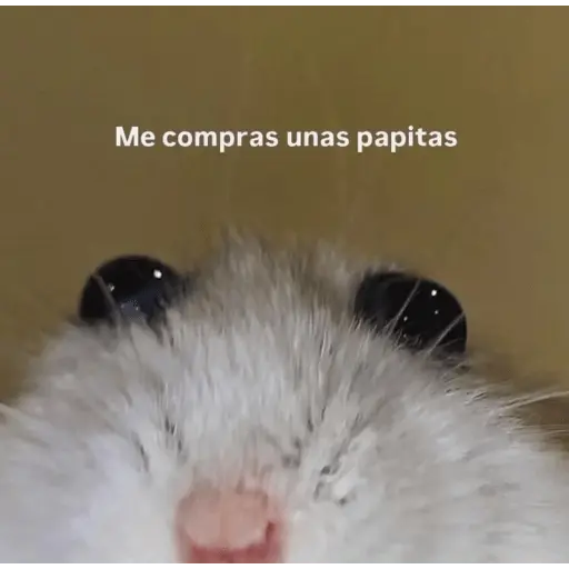 Po toma