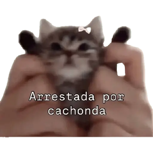 Po toma