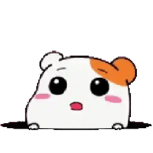 Amor de Hamster Ebichu 🐹♥️