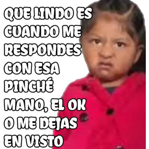 100% actitud 