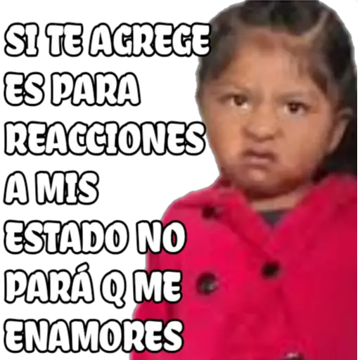 100% actitud 