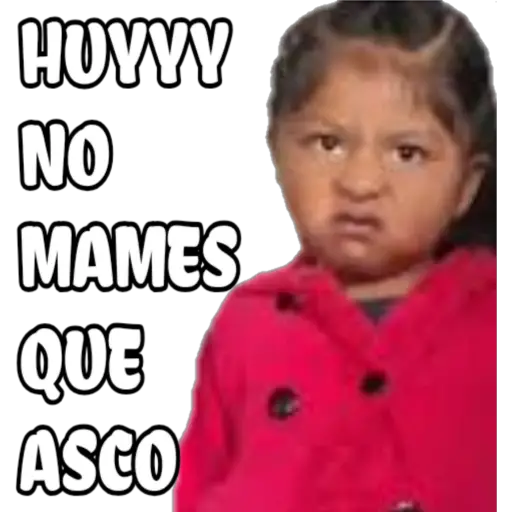 100% actitud 