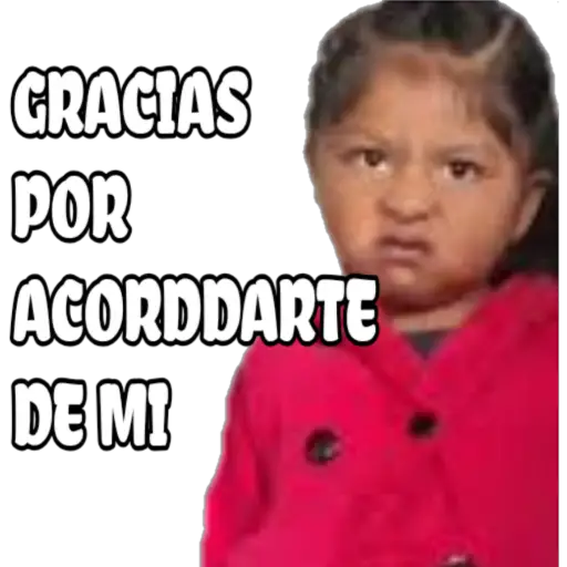 100% actitud 