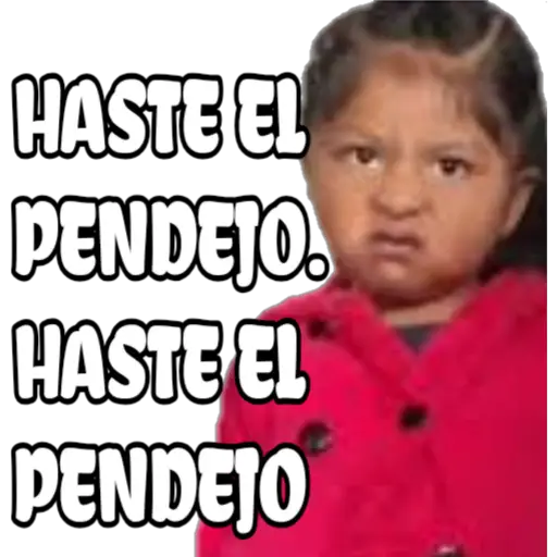 100% actitud 