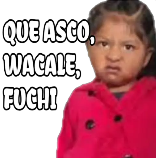 100% actitud 
