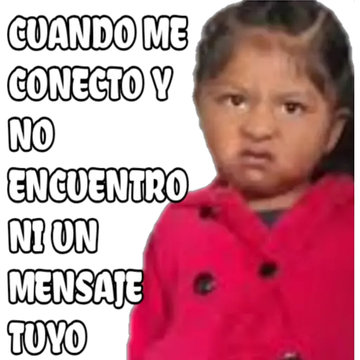100% actitud 