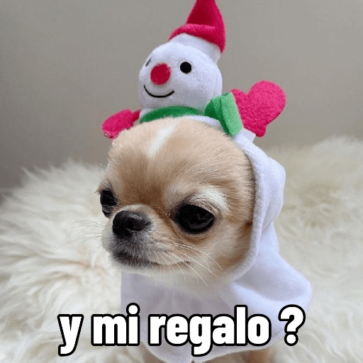 🐶🎄🐶 Perro modo Navidad 🐶🎄🐶 preview