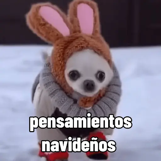🐶🎄🐶 Perro modo Navidad 🐶🎄🐶
