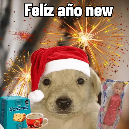 🐶🎄🐶 Perro modo Navidad 🐶🎄🐶