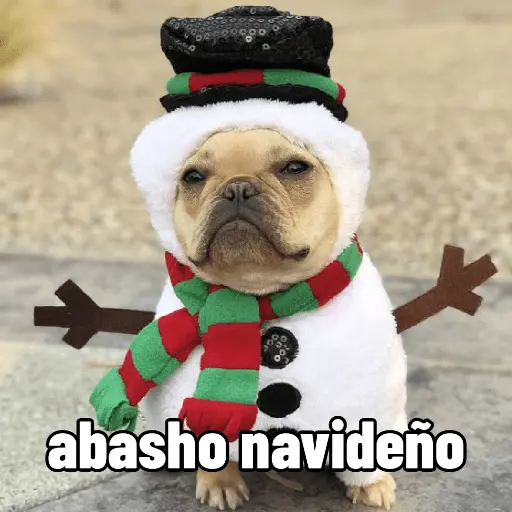 🐶🎄🐶 Perro modo Navidad 🐶🎄🐶