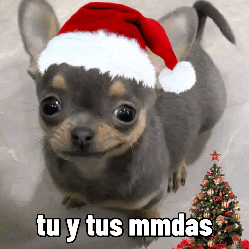 🐶🎄🐶 Perro modo Navidad 🐶🎄🐶 preview