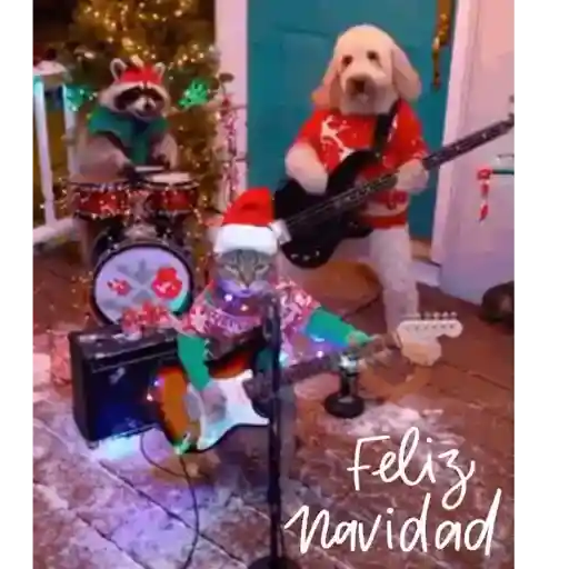 Navidad 01mov ✨🎄 sticker 26