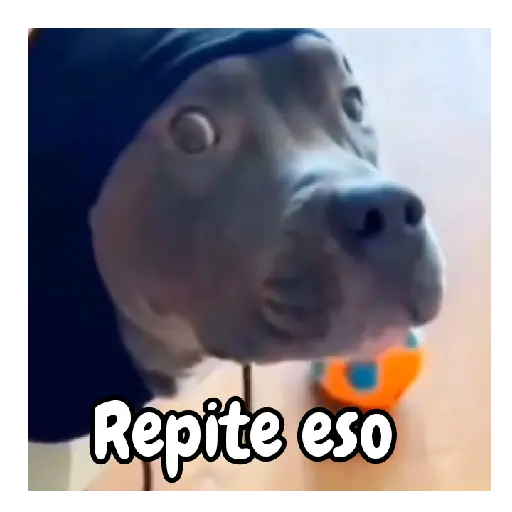 frío de perros 🥶🐕 preview