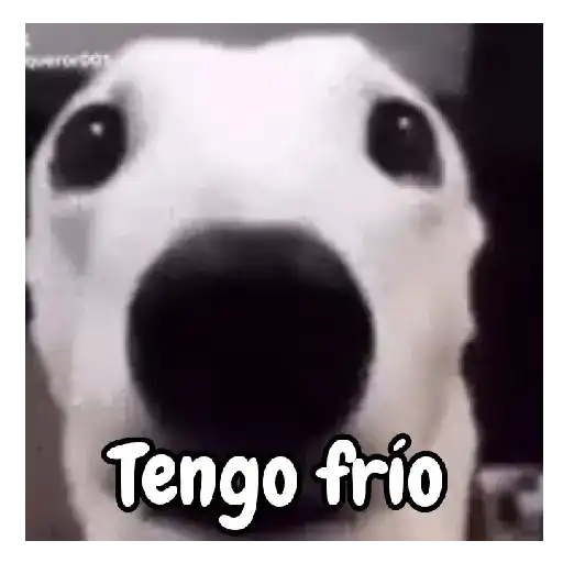 frío de perros 🥶🐕 preview