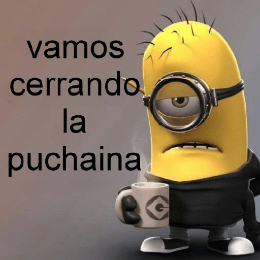 PUCHAINA 🥑🧐 preview