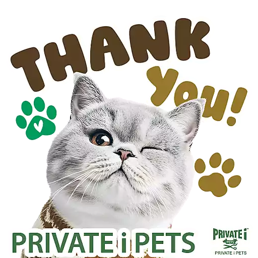 PRIVATE i PETS Xmas & New Year 2026 preview