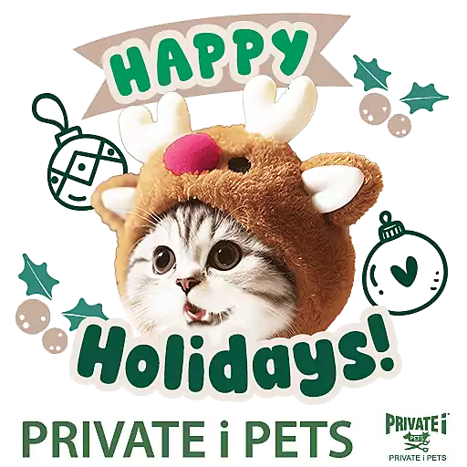 PRIVATE i PETS Xmas & New Year 2026 preview