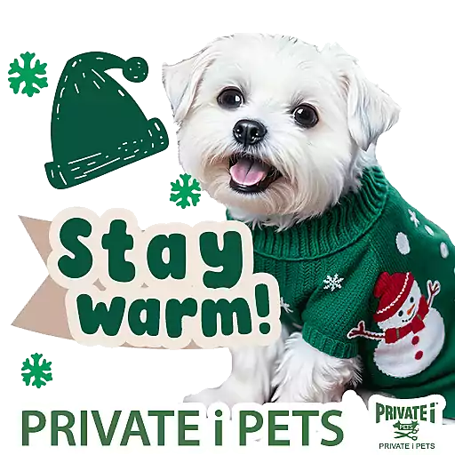 PRIVATE i PETS Xmas & New Year 2026 preview