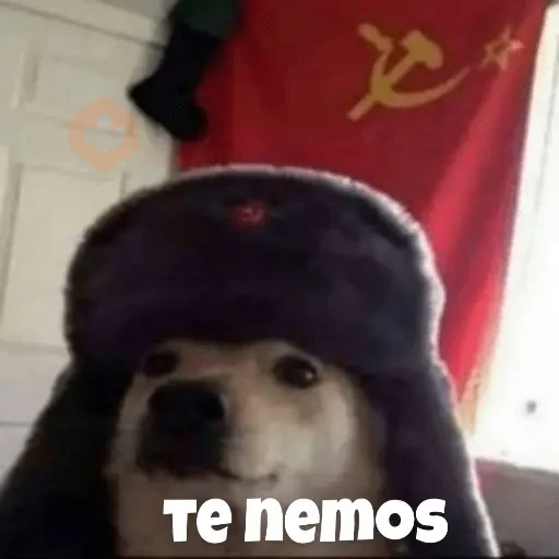 rusia sticker 27