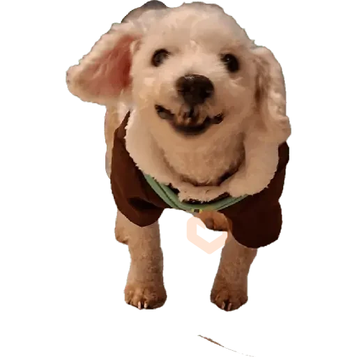 Snoopy sticker 21