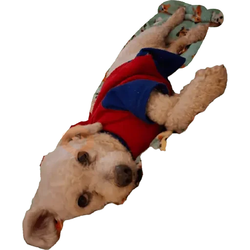 Snoopy sticker 19