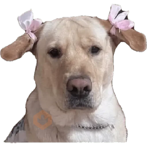 Snoopy sticker 26