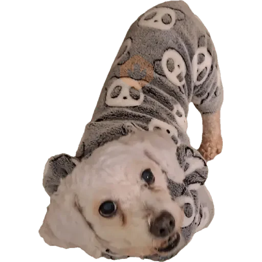 Snoopy sticker 17