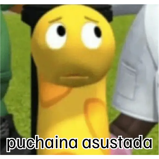 puchaina