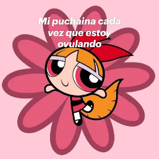 puchaina