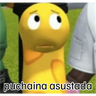 puchaina